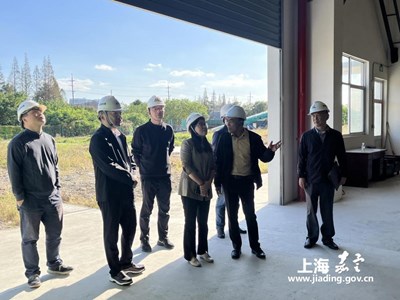 上海市粮食和物资储备局来嘉定开展秋粮收购督导检查和调研工作